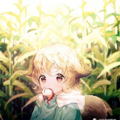 地坛公园树木认养低至50元